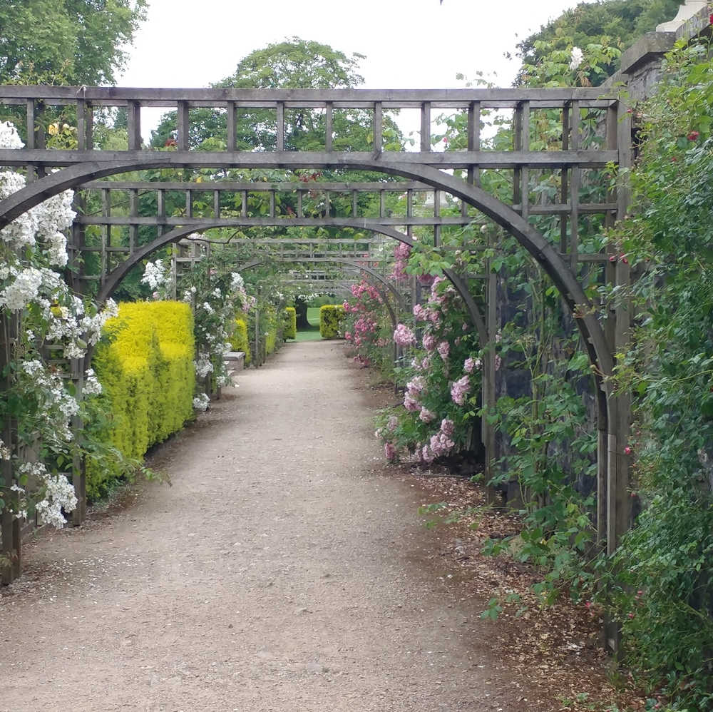 Meet your Posher, Julia